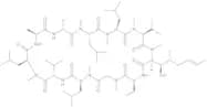 Cyclosporin A