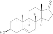 Prasterone