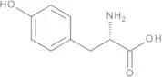 L-Tyrosine