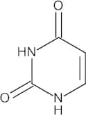 Uracil