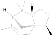 α-Cedrene
