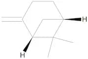 (1S)-β-Pinene