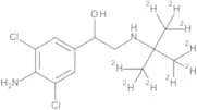 (±)-Clenbuterol D9 (trimethyl D9) 100 µg/mL in Acetonitrile