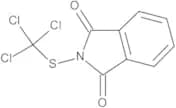 Folpet 100 µg/mL in Cyclohexane