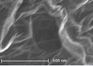 Graphene powder (1-5 layers thick x 0.5-5 microns wide, surface area 650-750 m²/g)