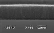 Carbon nanotube array, multi-walled, on quartz (diameter= 100nm, length=30 microns )