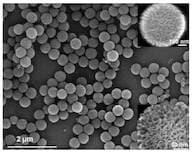 High Surface area silica nanoparticles, large, particle size ~900-1000 nm, surface area ~600 m²/g,…