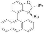 (2S,3S)-4-(Anthracen-9-yl)-3-(tert-butyl)-2-isopropyl-2,3-dihydrobenzo[d][1,3]oxaphosphole, 97% (>…