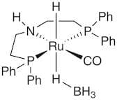 Carbonylhydrido(tetrahydroborato)[bis(2-diphenylphosphinoethyl)amino]ruthenium(II), min.98%  Ru-MA…