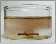 Rhodium nanoparticles, pure,  (<20nm) in acetone at 100mg/L (surfactant and reactant-free)