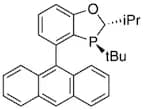 (2S,3S)-4-(Anthracen-9-yl)-3-(tert-butyl)-2-isopropyl-2,3-dihydrobenzo[d][1,3]oxaphosphole, 97% (>…