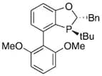 (2S,3S)-2-Benzyl-3-(tert-butyl)-4-(2,6-dimethoxyphenyl)-2,3-dihydrobenzo[d][1,3]oxaphosphole, 97% …