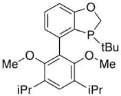 3-(tert-Butyl)-4-(3,5-diisopropyl-2,6-dimethoxyphenyl)-2,3-dihydrobenzo[d][1,3]oxaphosphole, 97%