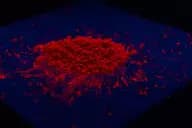 Copper Indium Disulfide/Zinc Sulfide Quantum Dots, Peak Emission 680nm ± 10nm, QY > 75%