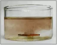 Palladium nanoparticles, pure,  (50-70nm) in acetone at 100mg/L (surfactant and reactant-free)