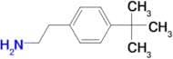 2-(4-tert-Butylphenyl)ethylamine  CONTROLLED DRUG CLASS A SCHEDULE 1
