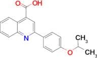 2-(4-iso-Propoxy-phenyl)-quinoline-4-carboxylic acid