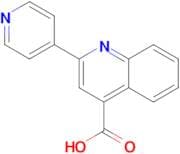 2-Pyridin-4-ylquinoline-4-carboxylic acid