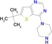 6-t-Butyl-4-piperazinothieno[3,2-d]pyrimidine