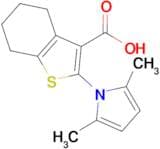 2-(2,5-Dimethyl-pyrrol-1-yl)-4,5,6,7-tetrahydro-benzo[ b ]thiophene-3-carboxylic acid