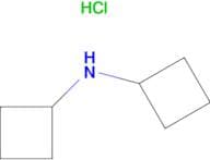 Dicyclobutylamine hydrochloride