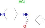N-(Piperidin-4-yl)cyclobutanecarboxamidehydrochloride
