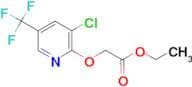 (3-Chloro-5-trifluoromethyl-pyridin-2-yloxy)-acetic acid ethyl ester