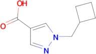 1-Cyclobutylmethyl-1H-pyrazole-4-carboxylic acid