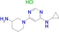 [6-(3-Amino-piperidin-1-yl)-pyrimidin-4-yl]-cyclopropyl-amine hydrochloride