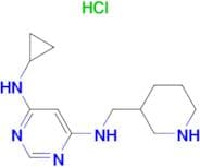 N-Cyclopropyl-N'-piperidin-3-ylmethyl-pyrimidine-4,6-diamine hydrochloride