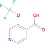3-(Trifluoromethoxy)isonicotinic acid