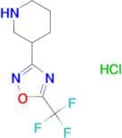 3-[5-(Trifluoromethyl)-1,2,4-oxadiazol-3-yl]piperidine hydrochloride