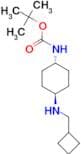 Tert-Butyl (1R*,4R*)-4-[(cyclobutylmethyl)amino]cyclohexylcarbamate