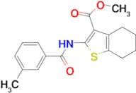 4,5,6,7-Tetrahydro-2-[(3-methylbenzoyl)amino]-benzo[b]thiophene-3-carboxylic acid methyl ester