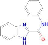 N-Phenyl-1H-1,3-benzodiazole-2-carboxamide