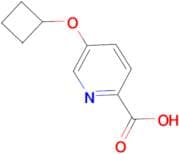 5-Cyclobutoxypyridine-2-carboxylic acid