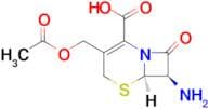 7-Aminocephalosporanic acid