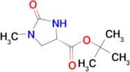 (S)-tert-Butyl 1-methyl-2-oxoimidazolidine-4-carboxylate