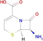 (6R,7R)-7-Amino-8-oxo-5-thia-1-azabicyclo[4.2.0]oct-2-ene-2-carboxylic acid