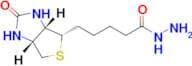 5-((3aS,4S,6aR)-2-Oxohexahydro-1H-thieno[3,4-d]imidazol-4-yl)pentanehydrazide