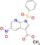 Methyl 5-nitro-1-(phenylsulfonyl)-1H-pyrrolo[2,3-b]pyridine-3-carboxylate