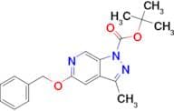1-BOC-5-(BENZYLOXY)-3-METHYL-1H-PYRAZOLO[3,4-C]PYRIDINE