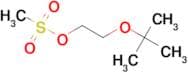 2-TERT-BUTOXYETHYL METHANESULFONATE