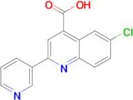 6-chloro-2-pyridin-3-ylquinoline-4-carboxylic acid
