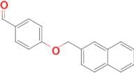4-(2-naphthylmethoxy)benzaldehyde
