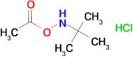 O-Acetyl-N-(tert-butyl)hydroxylamine hydrochloride