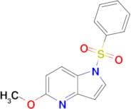 5-Methoxy-1-(phenylsulfonyl)-1H-pyrrolo[3,2-b]pyridine