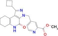 METHYL 4-((1-CYCLOBUTYL-4-OXO-4,5,6,7,8,9-HEXAHYDRO-3H-PYRAZOLO[3,4-C]QUINOLIN-3-YL)METHYL)PICOLIN…