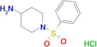 1-(phenylsulfonyl)-4-piperidinamine hydrochloride