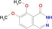 7,8-dimethoxyphthalazin-1(2H)-one